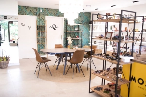 Photo - AZUR AUDITION (83700)