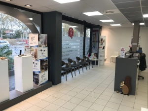 Photo - SOLUSONS (69680)